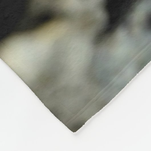 COUVERTURE POLAIRE MEERKAT (Coin)