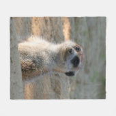 Couverture Polaire Meerkat 004 (Devant (Horizontal))