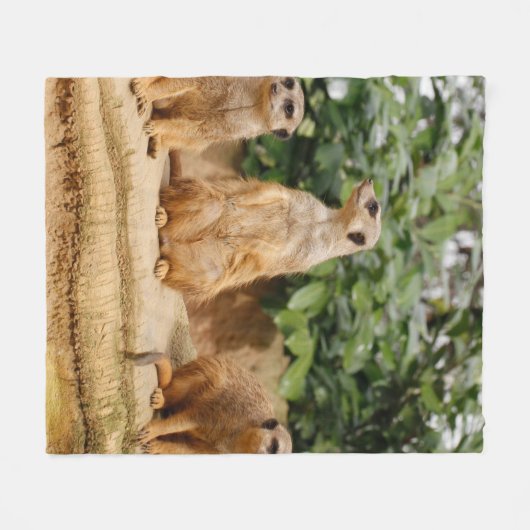 Couverture Polaire Meerkat 008 (Devant (Horizontal))
