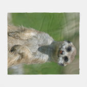 Couverture Polaire Meerkat 013 (Devant (Horizontal))