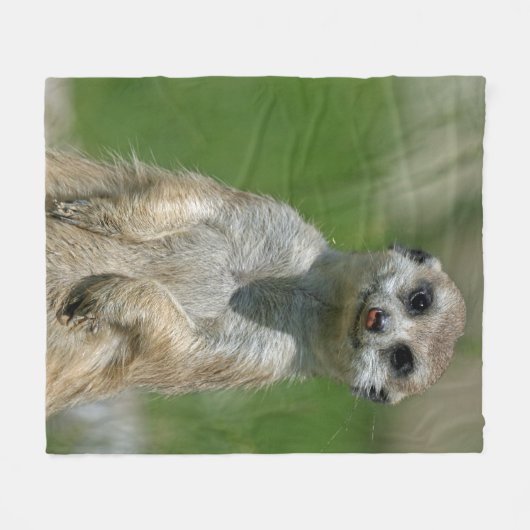 Couverture Polaire Meerkat 013 (Devant (Horizontal))