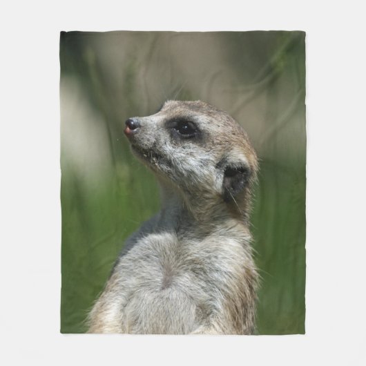 Couverture Polaire Meerkat 015 (Devant)