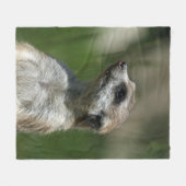 Couverture Polaire Meerkat 015 (Devant (Horizontal))