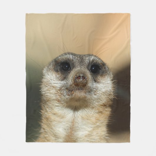 Couverture Polaire Meerkat 023 (Devant)