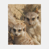 Couverture Polaire Meerkat 039 (Devant)