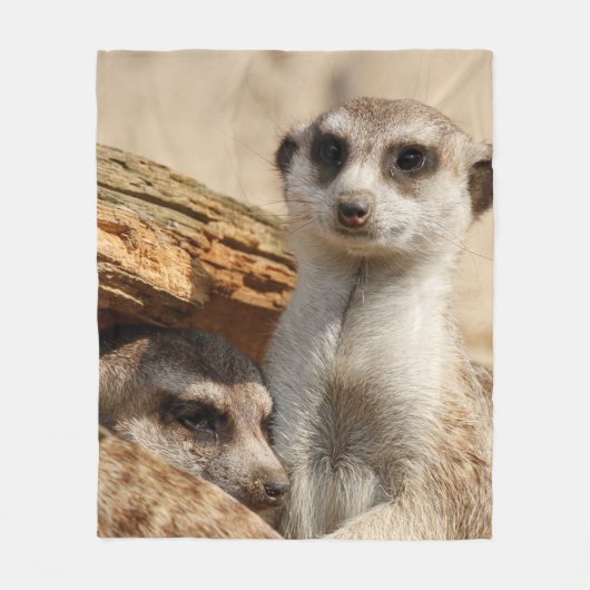 Couverture Polaire Meerkat 042 (Devant)