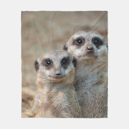 Couverture Polaire Meerkat 047 (Devant)