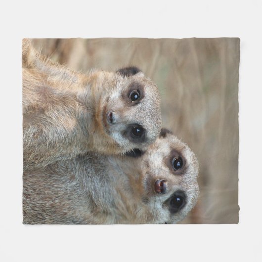 Couverture Polaire Meerkat 047 (Devant (Horizontal))