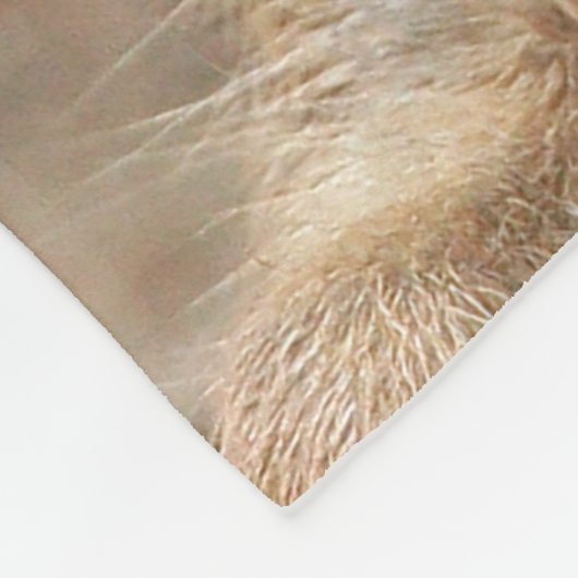 Couverture Polaire Meerkat 047 (Coin)