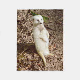 Couverture Polaire Meerkat Blanc, Petite Blanche En Toison.
