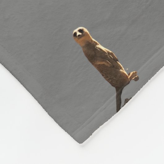 Couverture Polaire Meerkat Blanket (Coin)