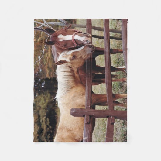 Couverture Polaire Meilleurs amis (Devant)