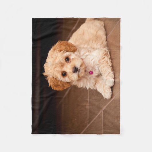 Couverture Polaire Mélange de caniche de bébé ou chiot maltais de (Devant)