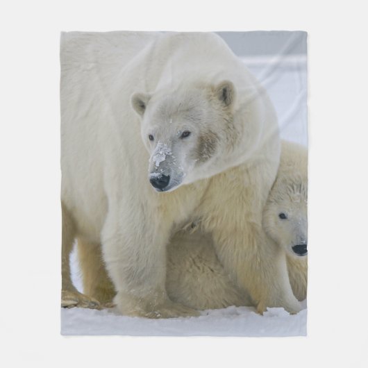 COUVERTURE POLAIRE MÈRE DE L'OURS POLAIRE ET CUB NORD ALASKA (Devant)