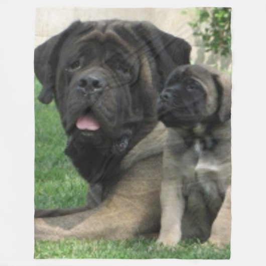 Couverture Polaire MÈRE et CHIOT de MASTIFF (Devant)