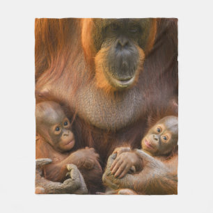 Couverture Polaire Mère Orangoutane tenant deux bébés