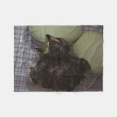 Couverture Polaire Minutes (Devant (Horizontal))