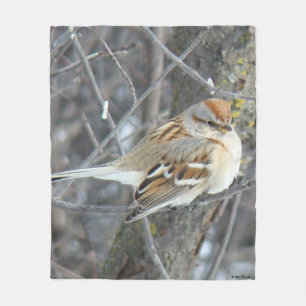 Couverture Polaire Moineau domestique B24
