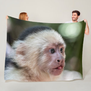 COUVERTURE POLAIRE MONKEY CAUPCHIN À TÊTE BLANCHE