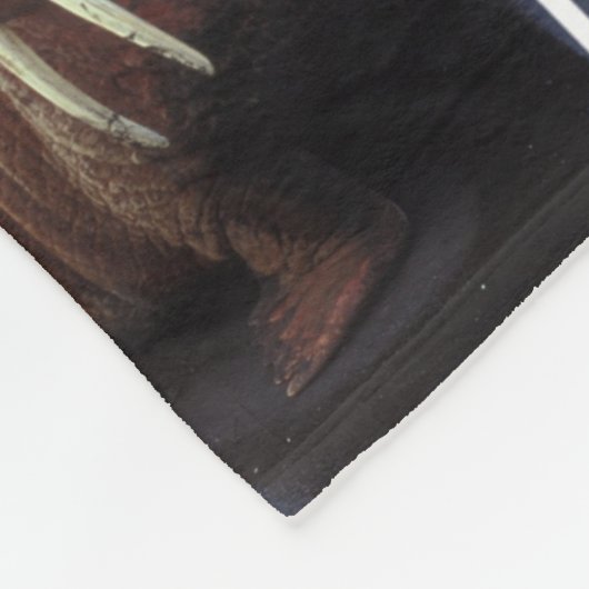 Couverture Polaire Morse (Coin)