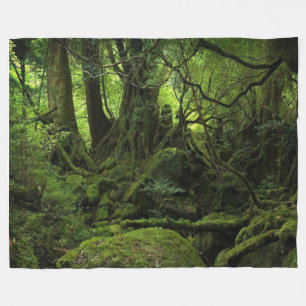 COUVERTURE POLAIRE MOSS HOLLOW