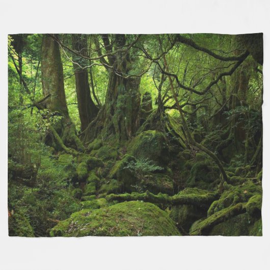 COUVERTURE POLAIRE MOSS HOLLOW (Devant (Horizontal))