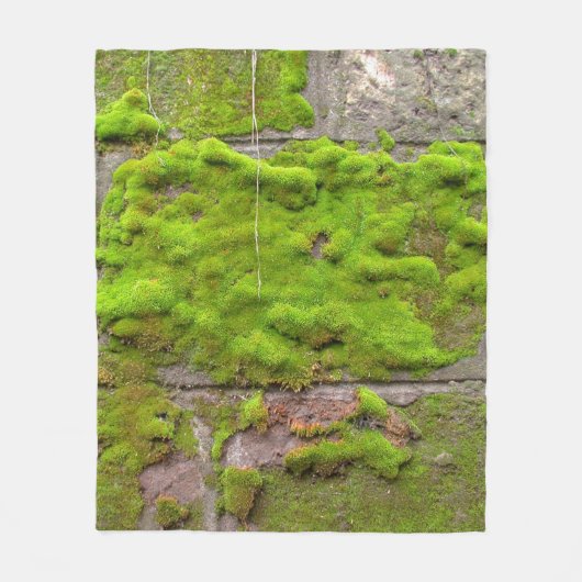 Couverture Polaire Moss wall green rock texture (Devant)