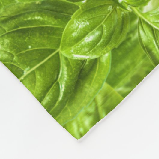 Couverture Polaire Motif Feuille Basil (Coin)