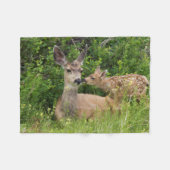 Couverture Polaire Mule Deer Doe avec Fawn (Devant (Horizontal))