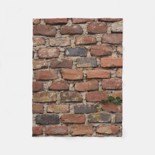 Couverture Polaire Mur Brown en brique (Devant)