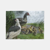 Couverture Polaire Muscovy Famille Canard Dans La Pluie Toison Blanke (Devant (Horizontal))