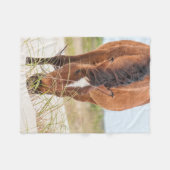 Couverture Polaire Mustangs sauvages ou chevaux banquiers (Devant (Horizontal))