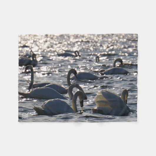 Couverture Polaire Navires en groupe sur l'eau avec glissement (Devant (Horizontal))