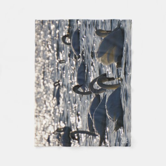 Couverture Polaire Navires en groupe sur l'eau avec glissement (Devant)