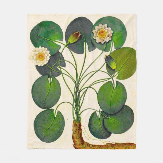 Couverture Polaire Nénuphar botanique vintage Blanche polaire (Devant)