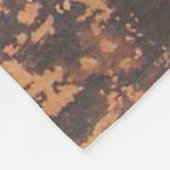 Couverture Polaire News Paper Rock Canyonlands National Park, Utah (Coin)