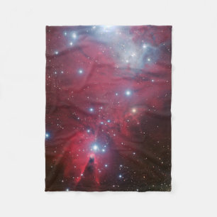 Couverture Polaire NGC 2264 et le groupe d'arbre de Noël