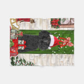 Couverture Polaire Noël aux canicules (Devant (Horizontal))