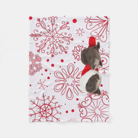 Couverture Polaire Noël nord-américain de loutre de rivière (Devant)