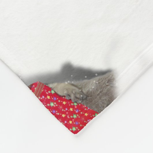 Couverture Polaire Noël Père Noël Raccoon Bandit (Coin)