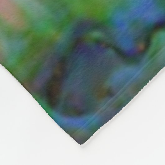 COUVERTURE POLAIRE NOUVELLE ZÉLANDE KIWI PAUA FLEECE BLANKET (Coin)