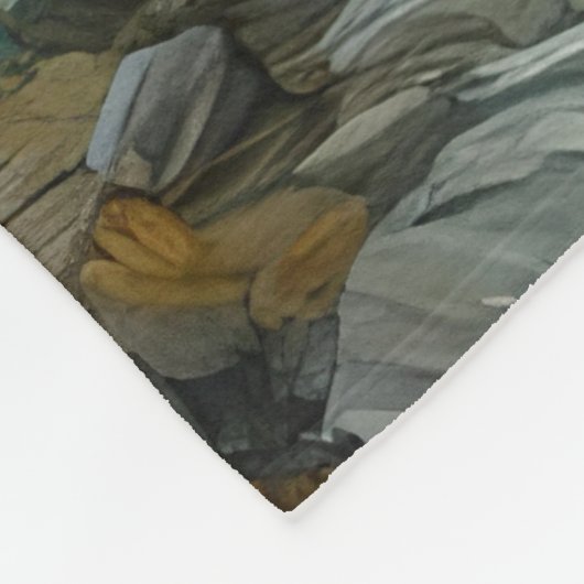 Couverture Polaire Nuit étoilée dans les Rocheuses (Coin)