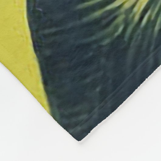 Couverture Polaire Océan du coucher du soleil (Coin)