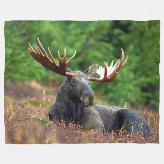 Couverture Polaire Oie (Devant (Horizontal))