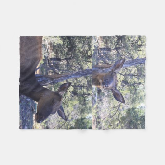 Couverture Polaire Oie (Devant (Horizontal))