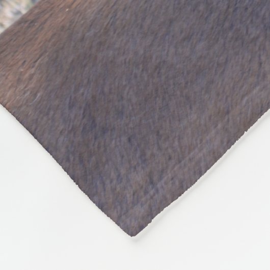 Couverture Polaire Oie (Coin)