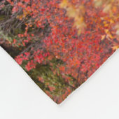 Couverture Polaire Oie Taureau debout Dans Red Dwarf Birch (Coin)