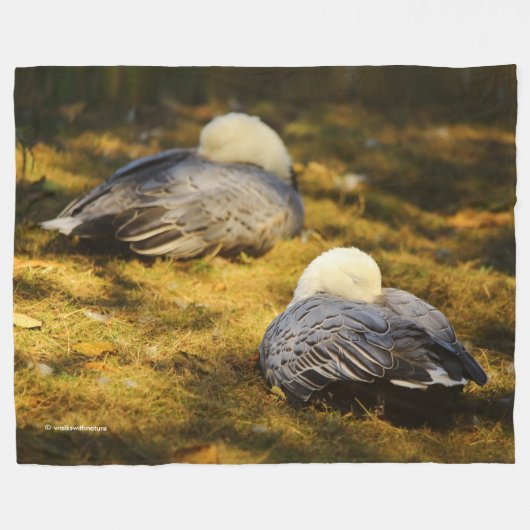 Couverture Polaire Oies des neiges mignonnes rêvant au soleil d'été (Devant (Horizontal))