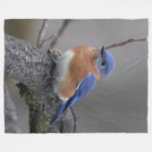 COUVERTURE POLAIRE OISEAU BLEU (Devant (Horizontal))