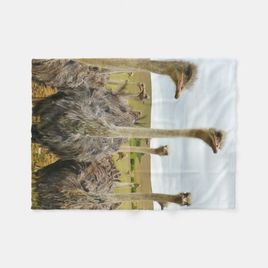 Couverture Polaire Oiseau d'autruche (Devant (Horizontal))